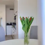 Appartement Aurelia - Terrace With Lemon Garden View Pula