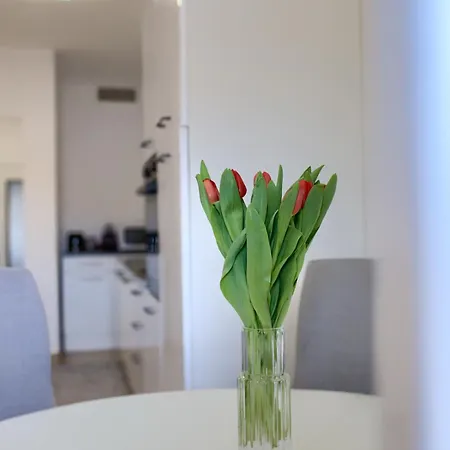 Apartament Aurelia - Terrace With Lemon Garden View Pula